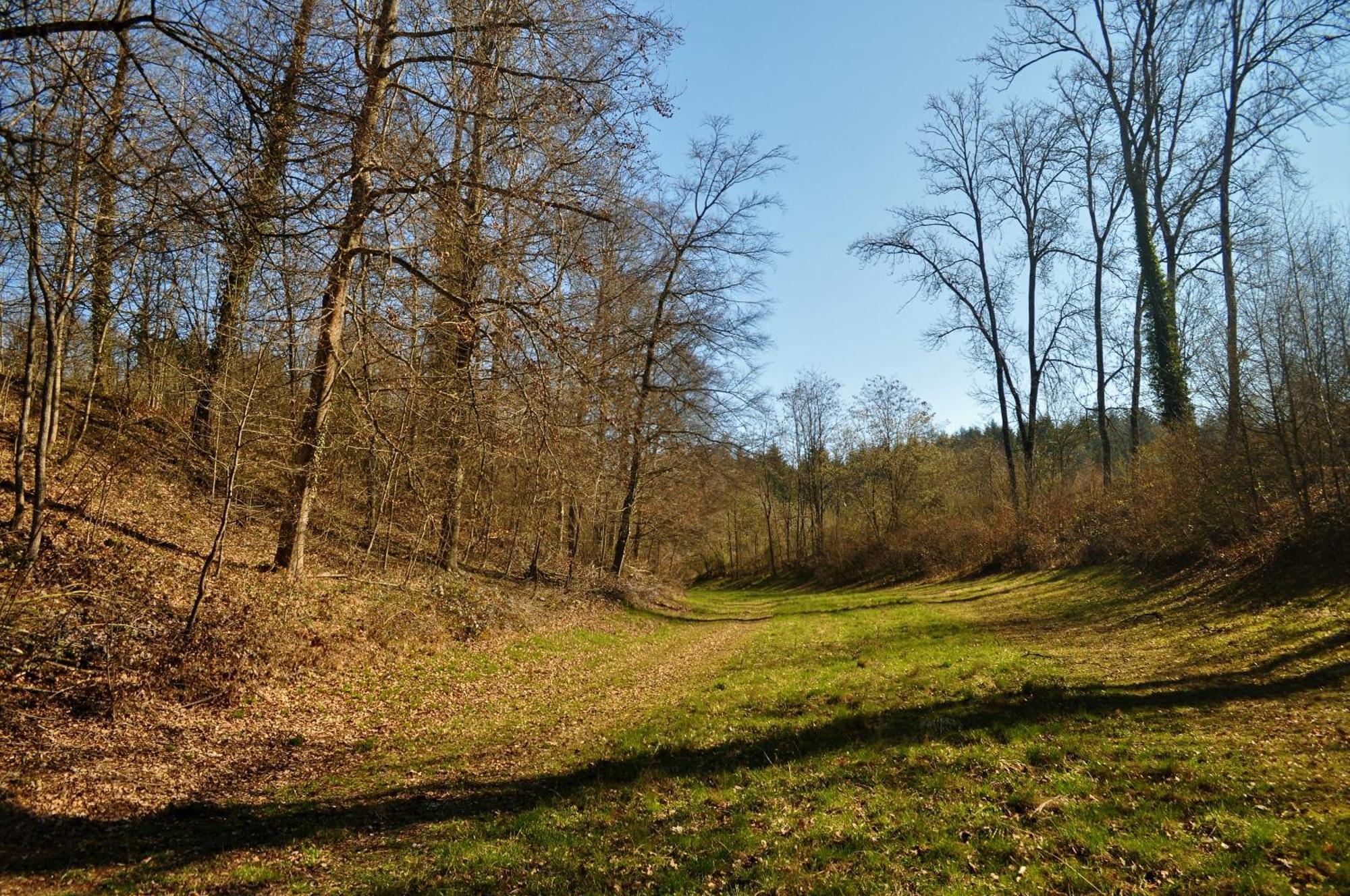 Domaine De Mont-Renaud Ξενοδοχείο Boncourt Εξωτερικό φωτογραφία