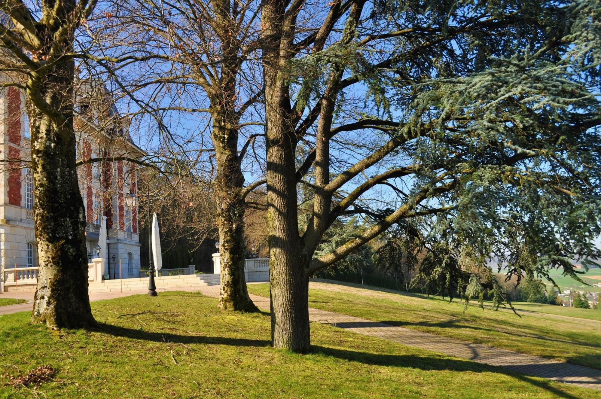 Domaine De Mont-Renaud Ξενοδοχείο Boncourt Εξωτερικό φωτογραφία